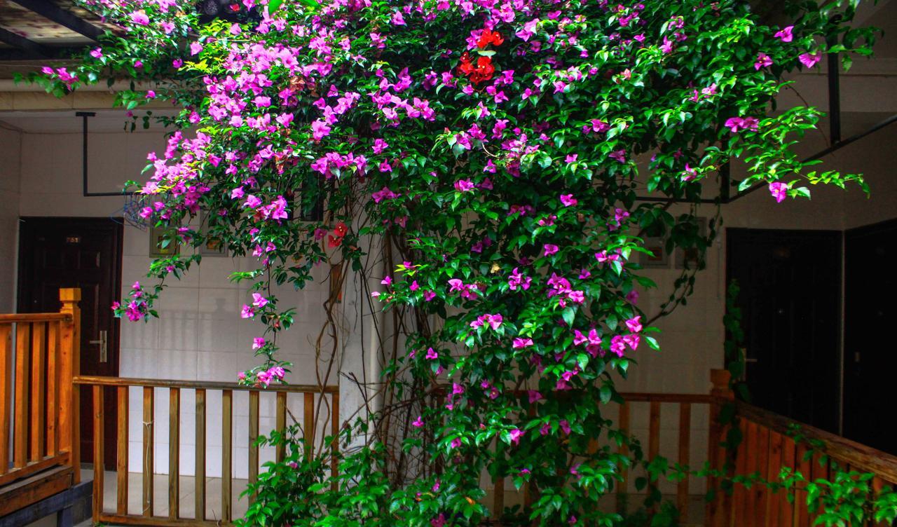 Dali Lao Shay Youth Hostel מראה חיצוני תמונה